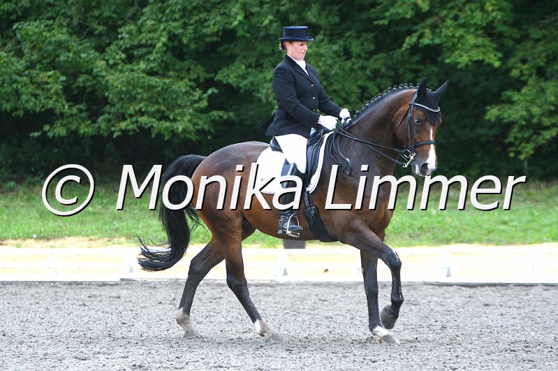 009M2608_Concento_Dressur Mxx.JPG